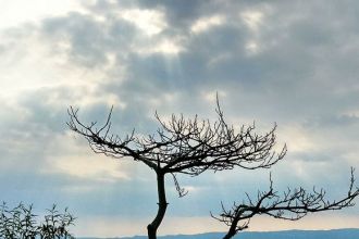 �Լ����|�⹦Ҳ�����������U��һ��(g��)�W(xu��)���h����Ě⹦��(sh��)��֮·
