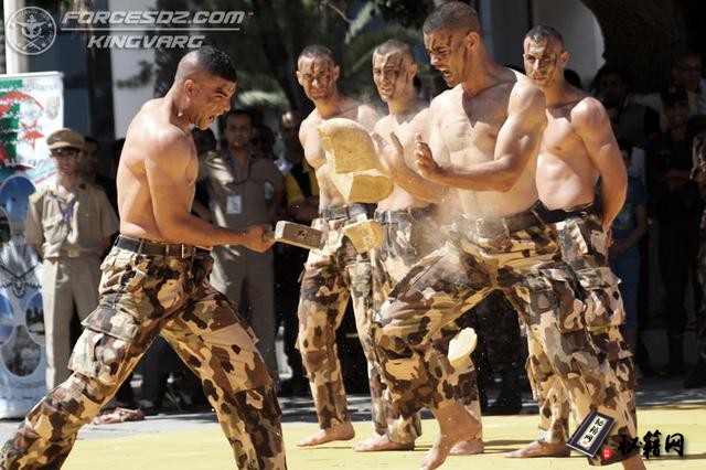 �y�����Ї����񹦡����w��ˇ��đ��İ����������طN����ʾӲ�⹦
