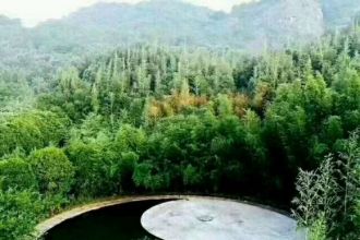 �W����س�����h���ס��Ǳ��x�����������f�f����ԌW��س