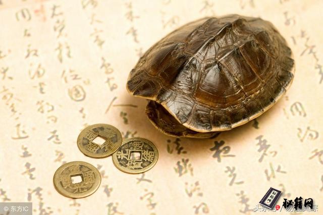 ���Ի��A(ch��)֪�R�����h���ס�һ