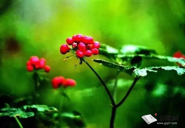 ��(j��ng)���Ӱ�����ҹ+�Ⱦ�=�����Ԛ��������o(h��)���h(yu��n)�xΣ�U(xi��n)��