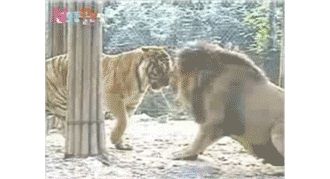 ���y(t��ng)���g(sh��)�ărֵ���ڏ������w������ǹ����������ٴ��Ǌʘ�Ȥζ
